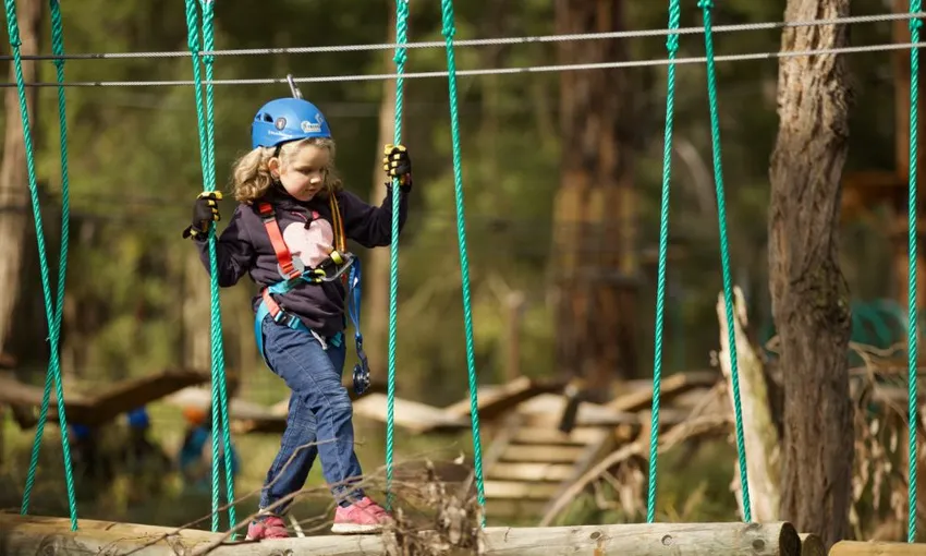 Nowra Park Treetop Adventure Course for Juniors | Experience Oz