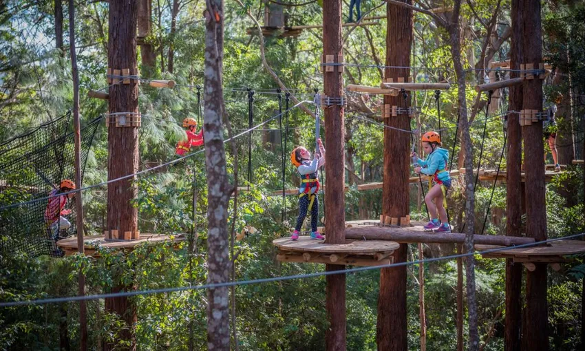 Nowra Park Treetop Adventure Course for Juniors | Experience Oz