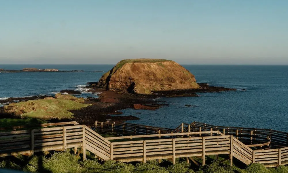 Phillip Island Tour with Cruise & Penguin Parade | Experience Oz-5