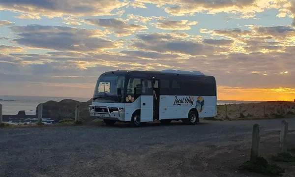 Phillip Island Day Tour with Seal Cruise & Penguin Parade