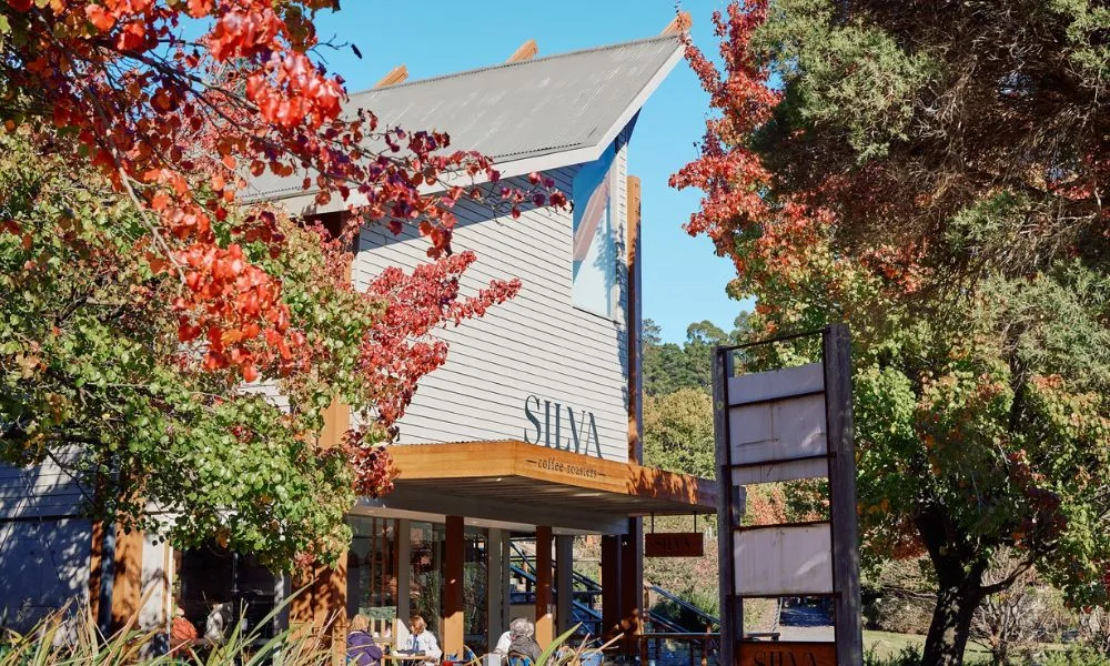 Yarra Valley Redwoods & Wine Tasting with Lunch | Experience Oz-4