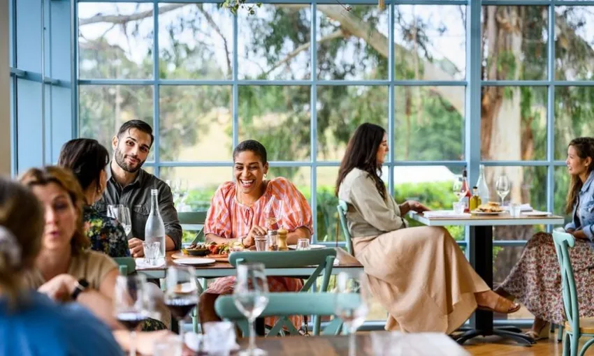 Yarra Valley Redwoods & Wine Tasting with Lunch | Experience Oz