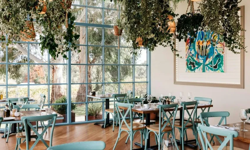 Yarra Valley Redwoods & Wine Tasting with Lunch | Experience Oz