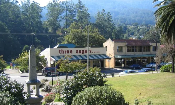 Yarra Valley Redwoods & Wine Tasting with Lunch - Full Day