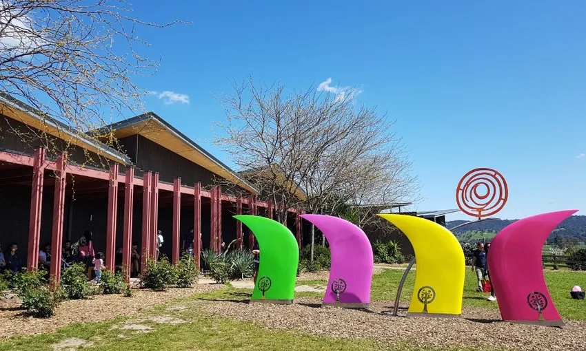 Yarra Valley Redwoods & Wine Tasting with Lunch | Experience Oz