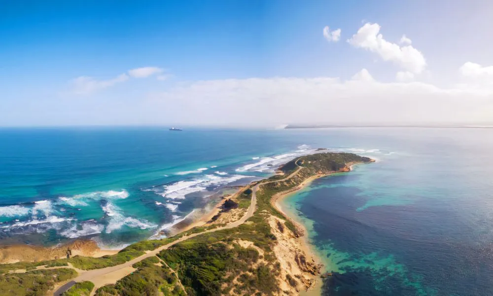 Mornington Peninsula Coastal Discovery Day Tour | Experience Oz-5