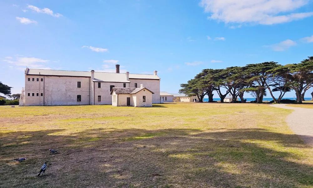 Mornington Peninsula Coastal Discovery Day Tour | Experience Oz-3