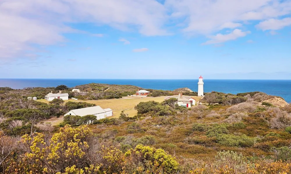 Mornington Peninsula Coastal Discovery Day Tour | Experience Oz-2