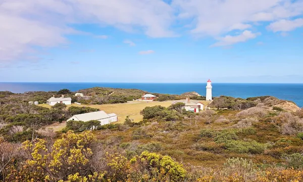 Mornington Peninsula Coastal Discovery Tour - Full Day
