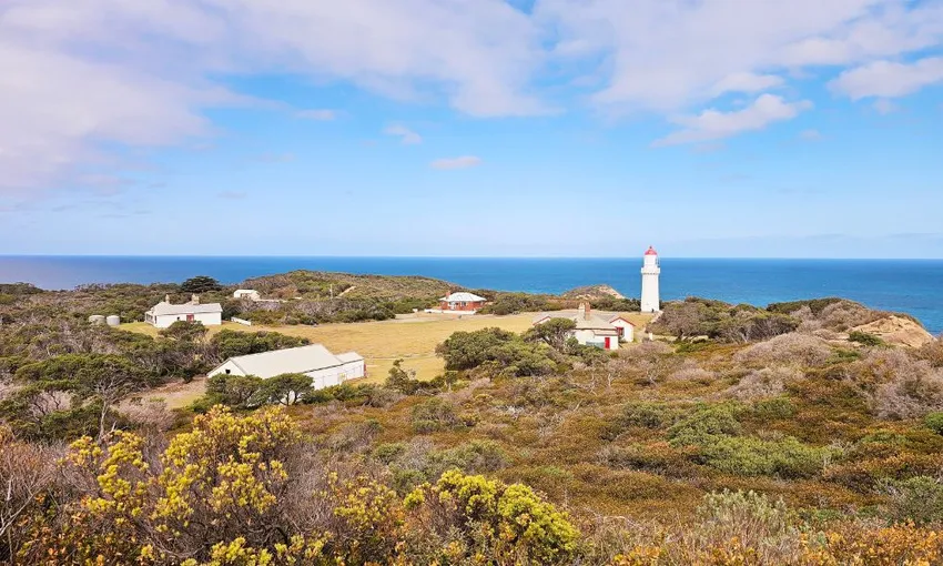 Mornington Peninsula Coastal Discovery Day Tour | Experience Oz