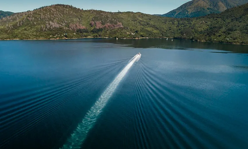 Marlborough Sounds Cruise and Lunch at Furneaux Lodge | Experience Oz + NZ