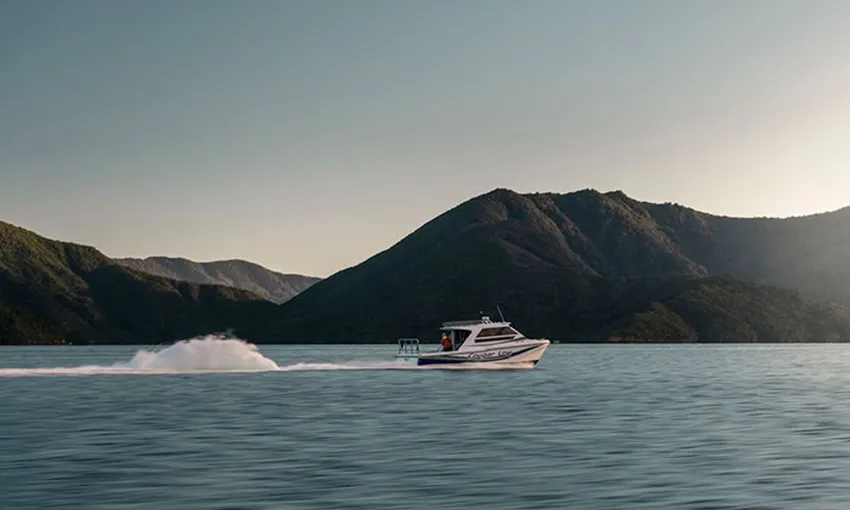 Marlborough Sounds Cruise and Lunch at Furneaux Lodge | Experience Oz + NZ