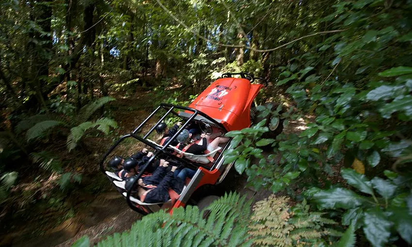 4WD Safari, Monster 4X4 Ride and Karting, 2 Hours - Rotorua