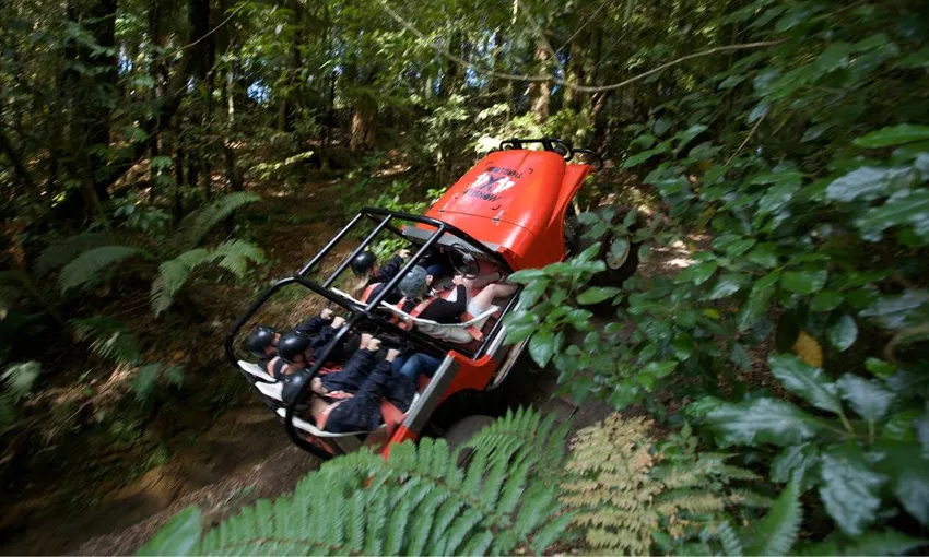 Monster 4X4 Thrill Ride, 10 Minutes - Rotorua
