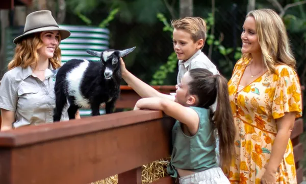 Currumbin Wildlife Sanctuary & Treetop Challenge Experience Pass