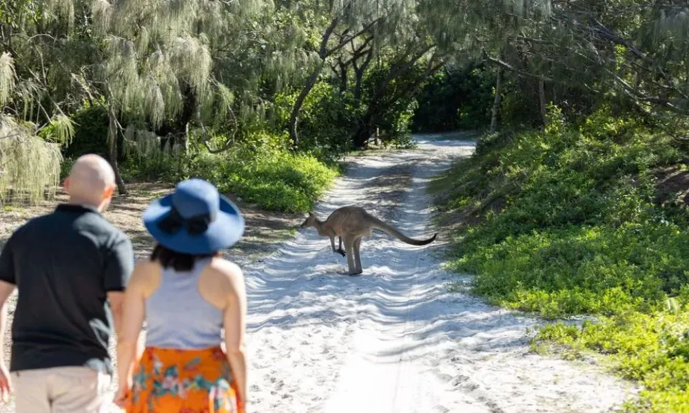 Bribie Island Full Day Adventure from Brisbane | Experience Oz-3