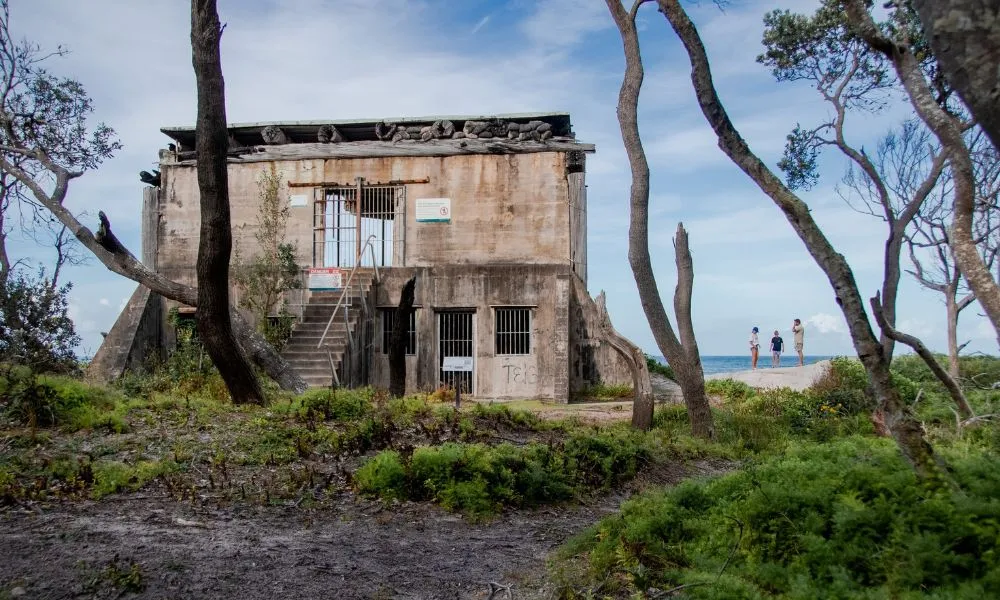 Bribie Island Full Day Adventure from Brisbane | Experience Oz-4