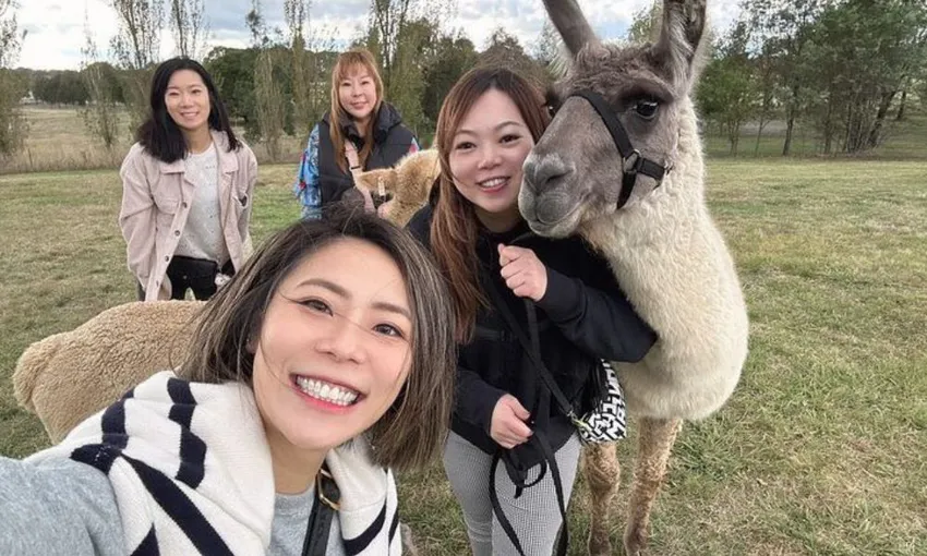Alpaca Adventure Guided Tour - 90 Minutes | Experience Oz