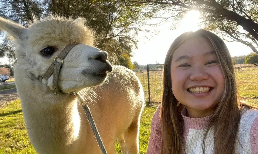 Alpaca Adventure Guided Tour - 90 Minutes | Experience Oz