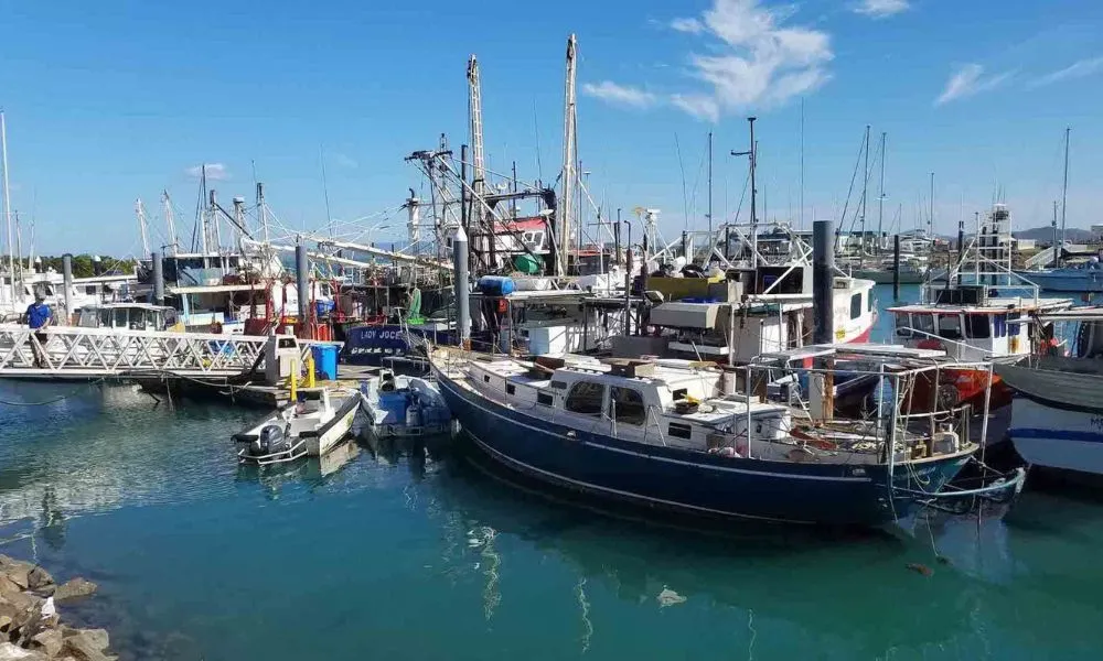 Bowen Beaches and Seafood Tour from Airlie Beach | Experience Oz-5