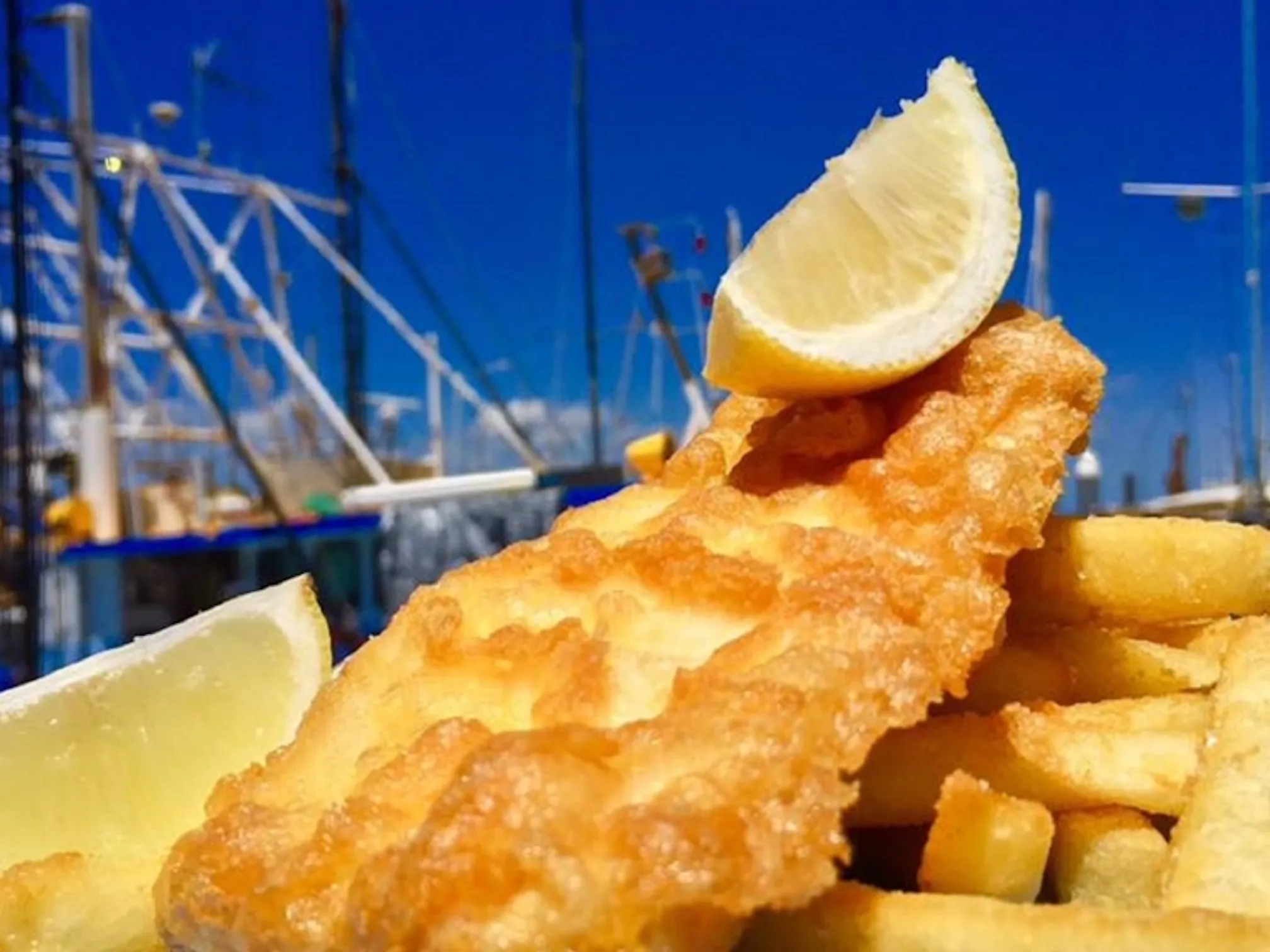 Bowen Beaches and Seafood Tour from Airlie Beach | Experience Oz-6