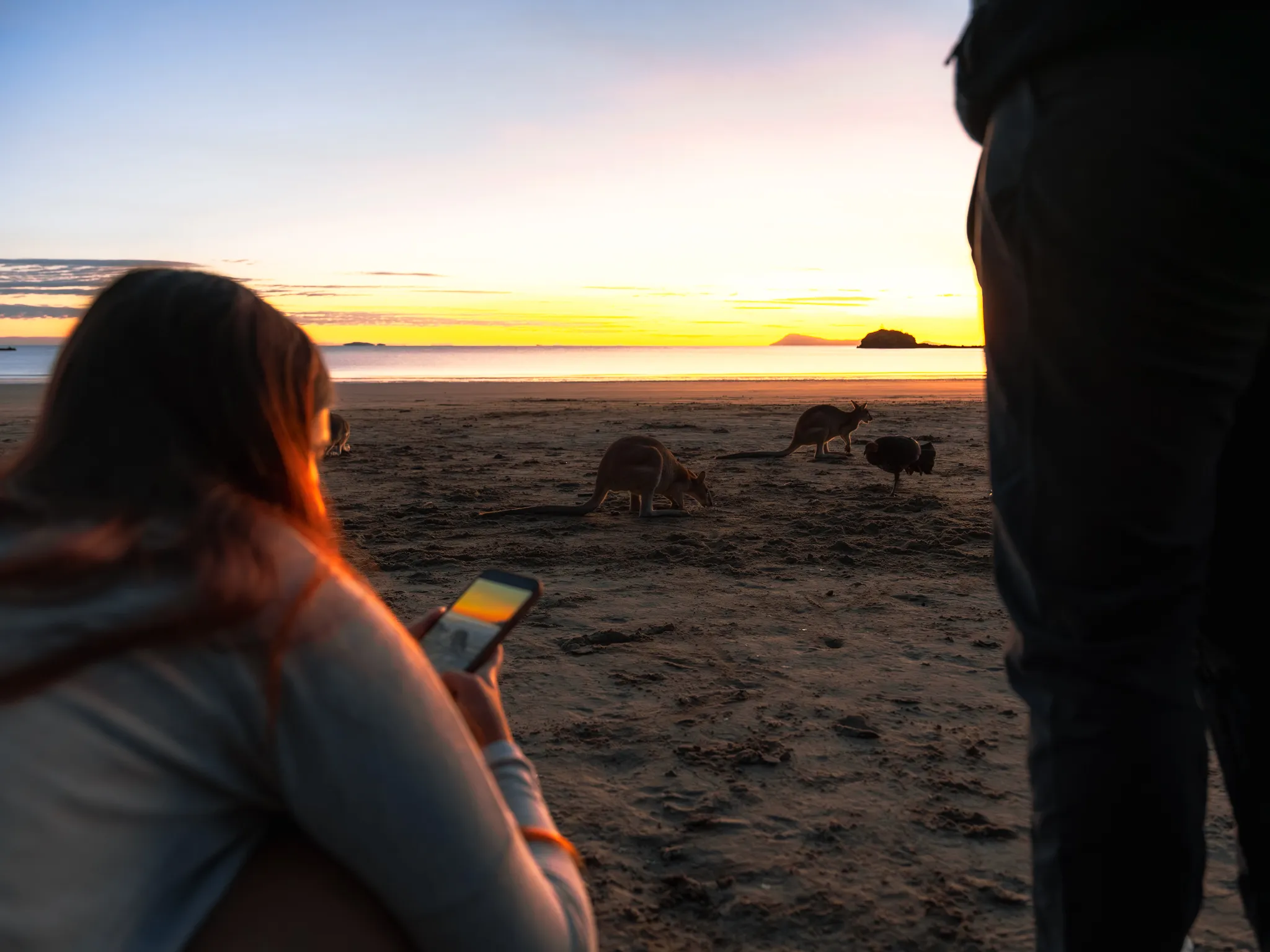 Cape Hillsborough Sunrise & Kangaroo Tour | Experience Oz-6