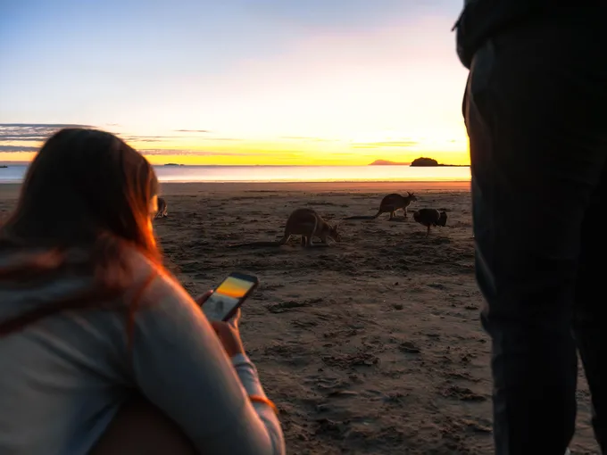 Cape Hillsborough Sunrise & Kangaroo Tour | Experience Oz