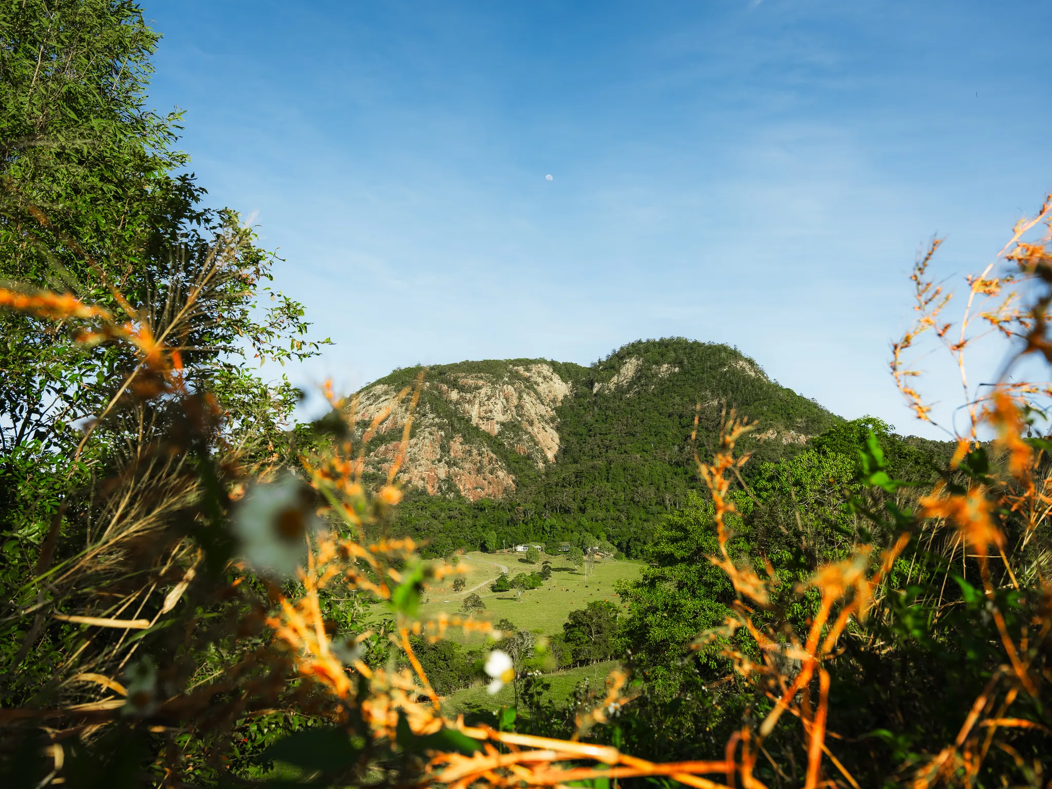 Cape Hillsborough Sunrise & Kangaroo Tour | Experience Oz-11