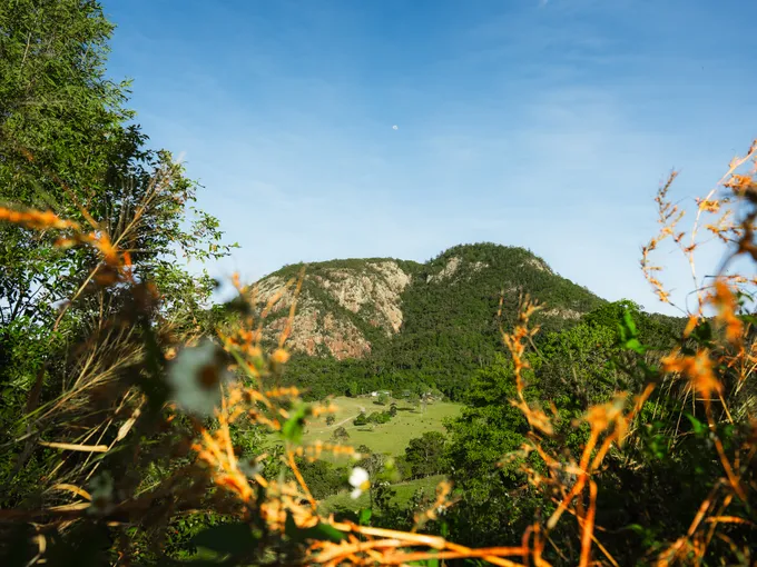 Cape Hillsborough Sunrise & Kangaroo Tour | Experience Oz