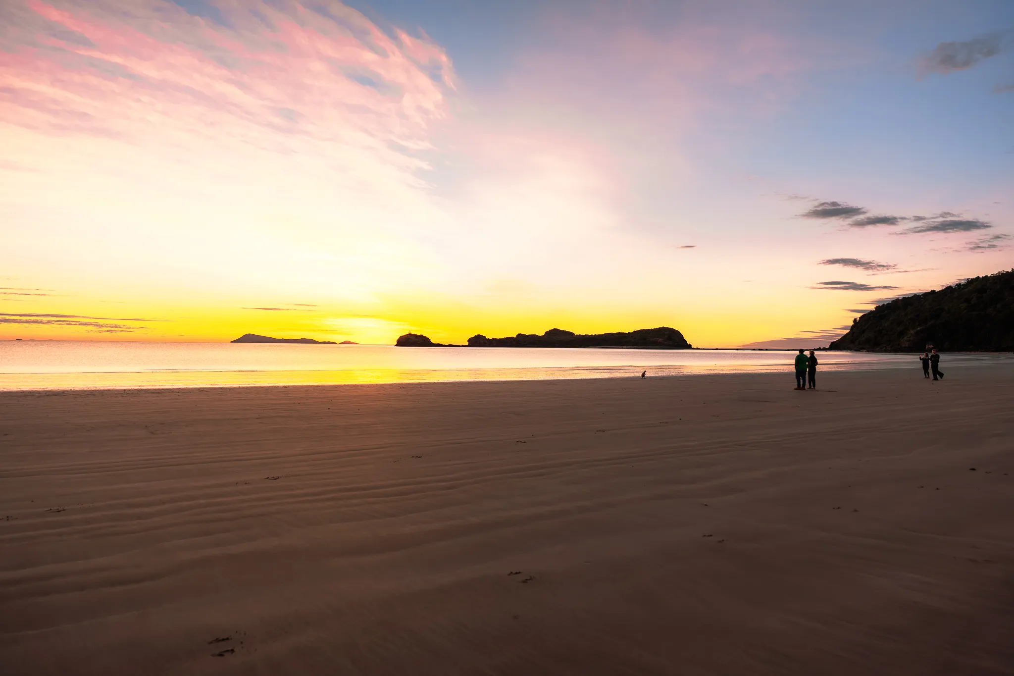 Cape Hillsborough Sunrise & Kangaroo Tour | Experience Oz-13