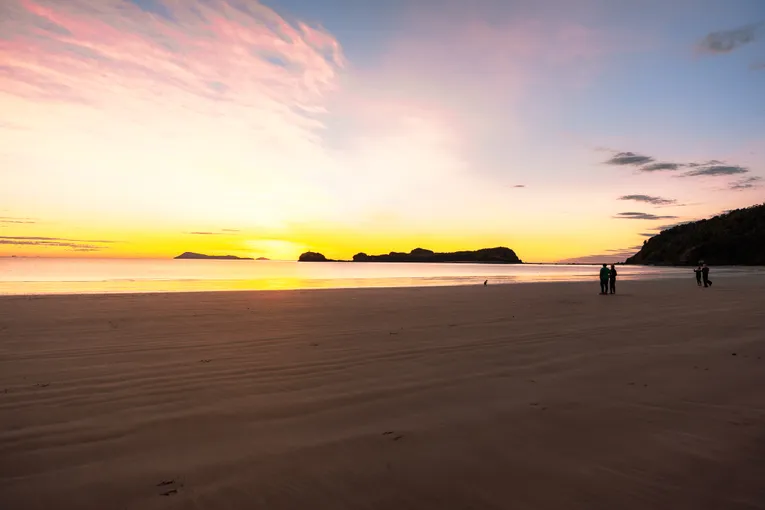 Cape Hillsborough Sunrise & Kangaroo Tour | Experience Oz