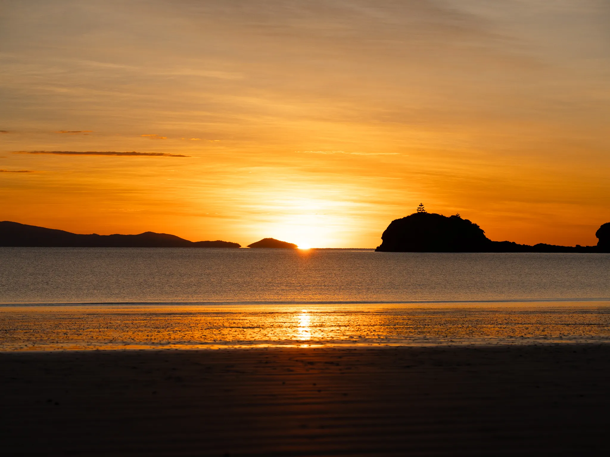 Cape Hillsborough Sunrise & Kangaroo Tour | Experience Oz-14