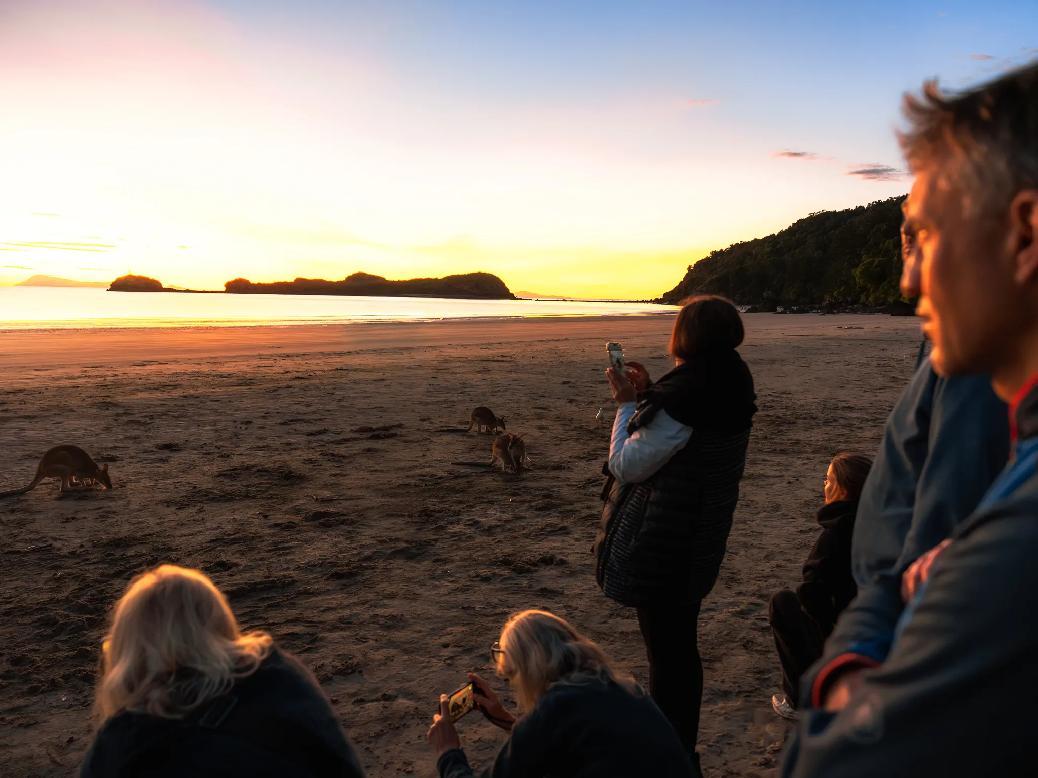 Cape Hillsborough Sunrise & Kangaroo Tour | Experience Oz-18