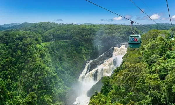 Kuranda and Daintree Rainforest Tour, Half Day