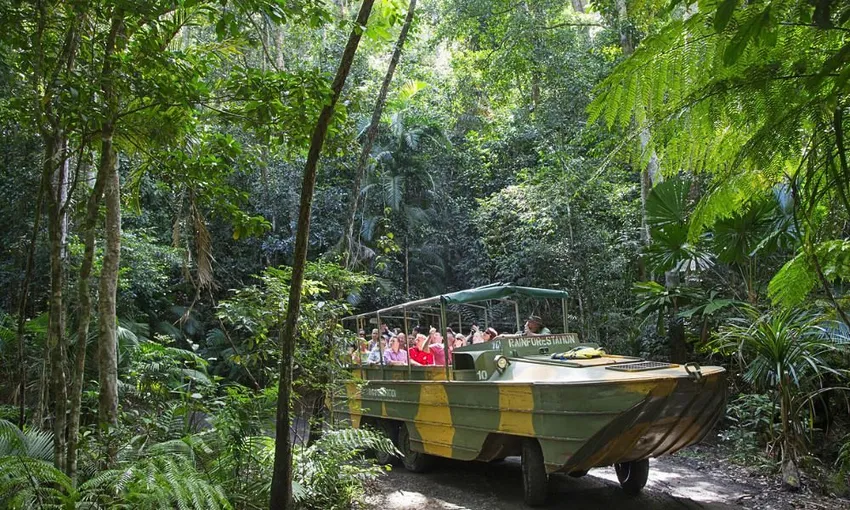 Kuranda and Daintree Rainforest Tour, Half Day