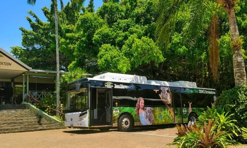 Kuranda and Daintree Rainforest Tour, Half Day