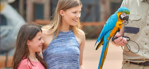 Gumbuya World Wildlife Park Entry & Live Shows