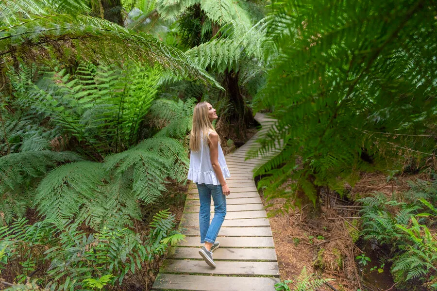 Melbourne to Adelaide Great Ocean Road Tour | Experience Oz-2