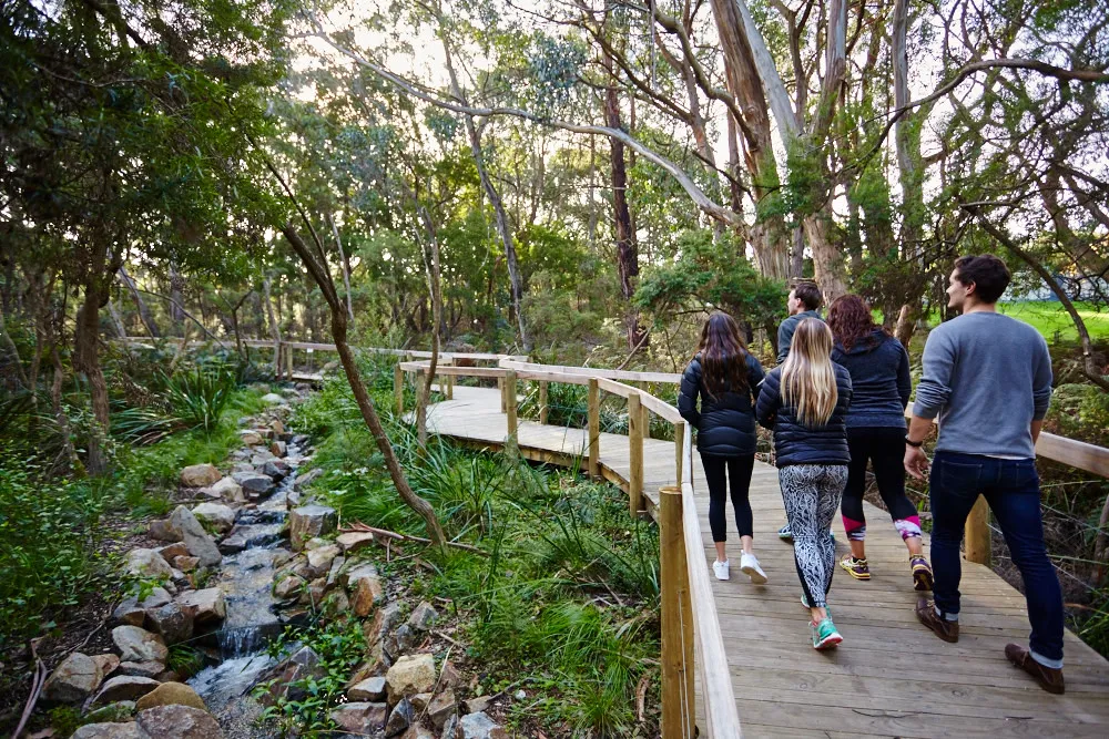 Enchanted Adventure General Admission | Experience Oz-12