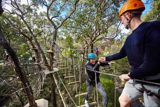 Enchanted Adventure Treetop Course & All-Day Admission