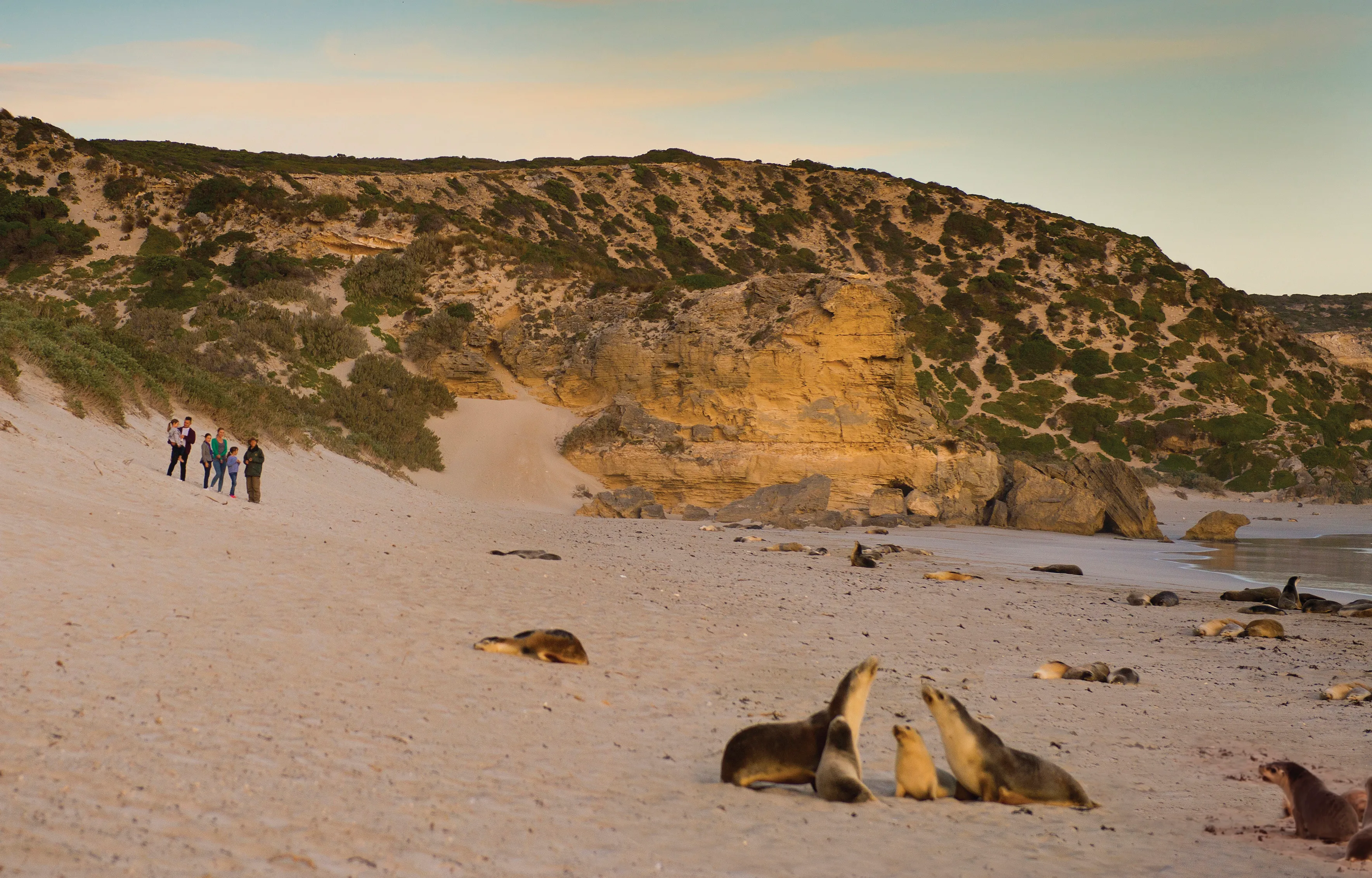 Kangaroo Island Landscape & Wildlife Tour - For 2 | Experience Oz-1
