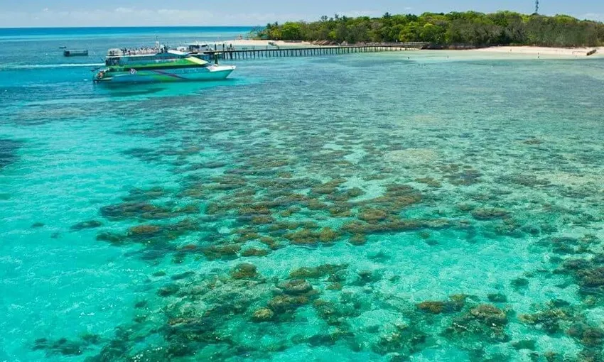 Cairns to Fitzroy & Green Islands Full-Day Cruise | Experience Oz