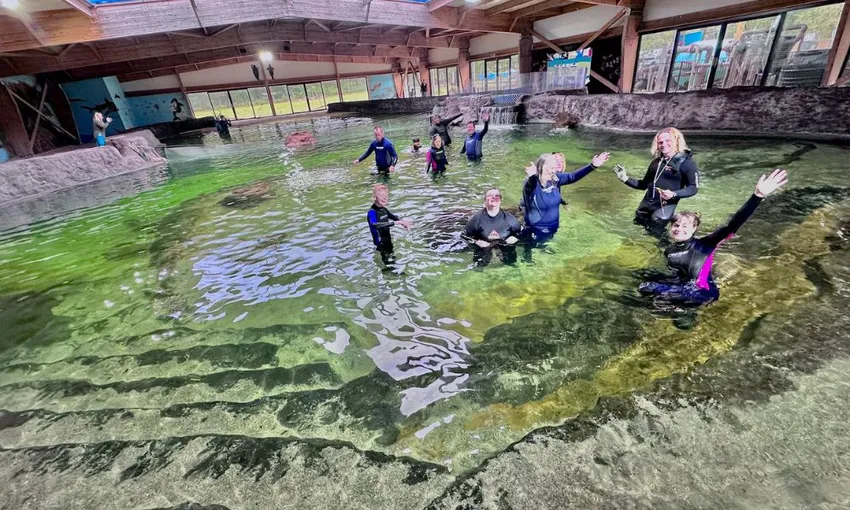 Stingray Snorkel & Lagoon Entry, 2.5 Hours - Anna Bay