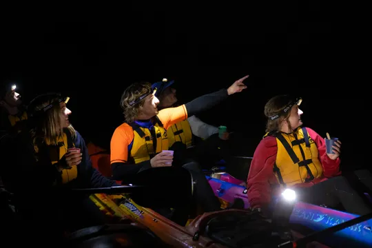 Anglesea River Guided Night Kayak Tour