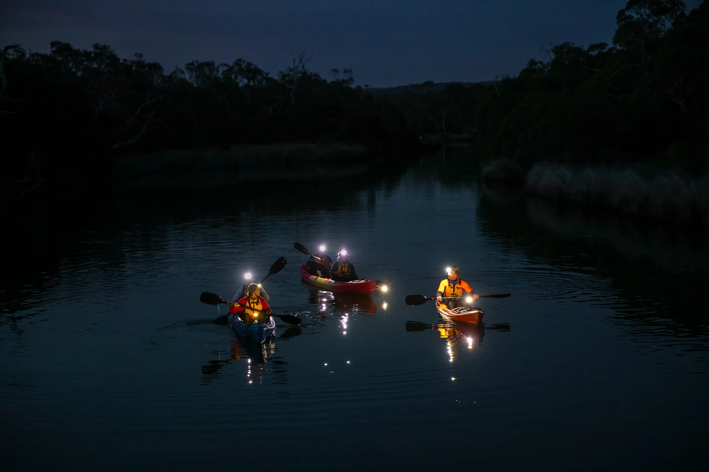 Anglesea River Guided Night Kayak Tour | Experience Oz-4