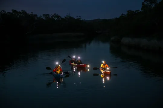 Night Kayaking in Anglesea on the Great Ocean Road