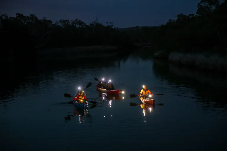 Anglesea River Guided Night Kayak Tour | Experience Oz