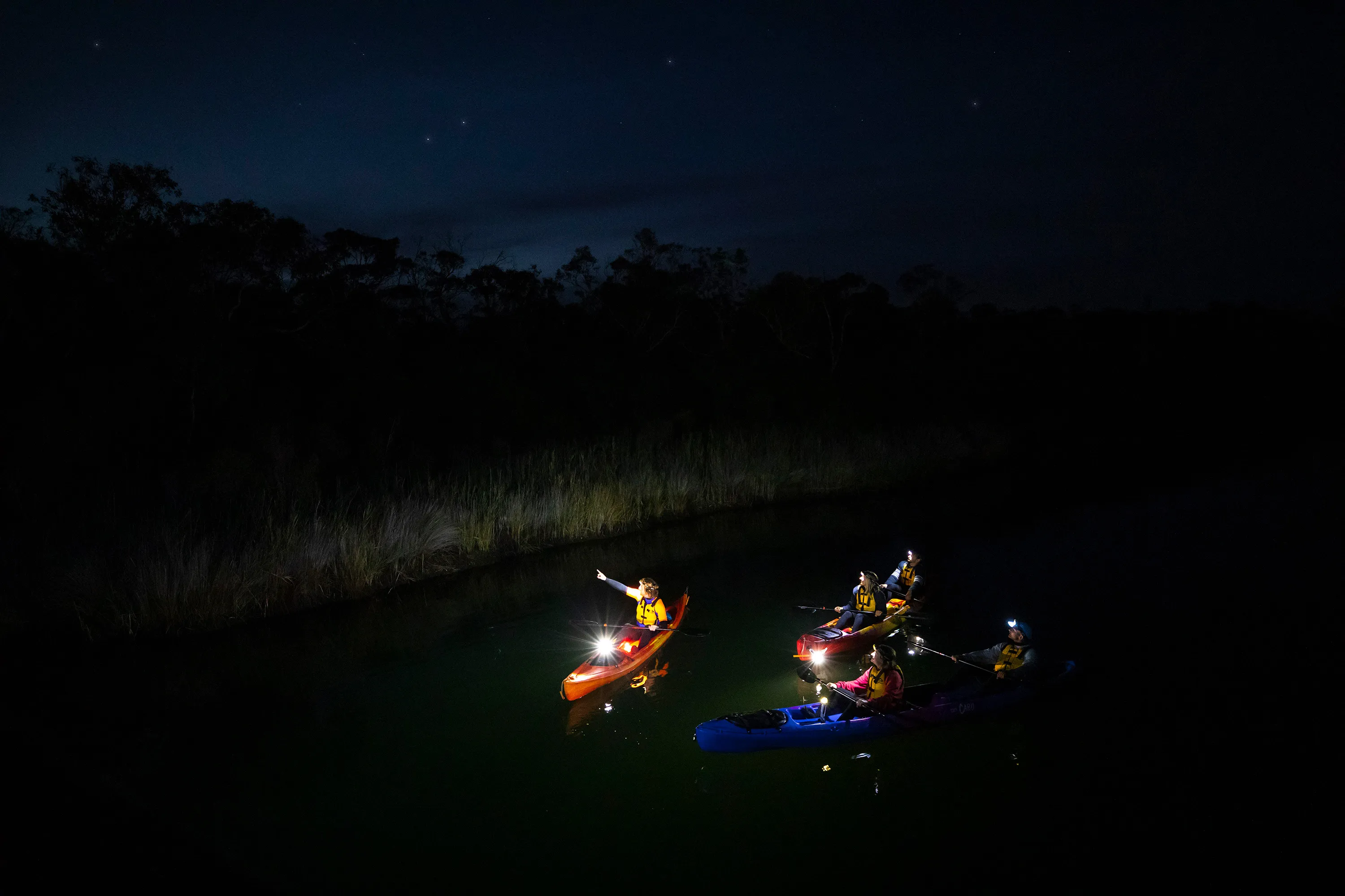 Anglesea River Guided Night Kayak Tour | Experience Oz-3