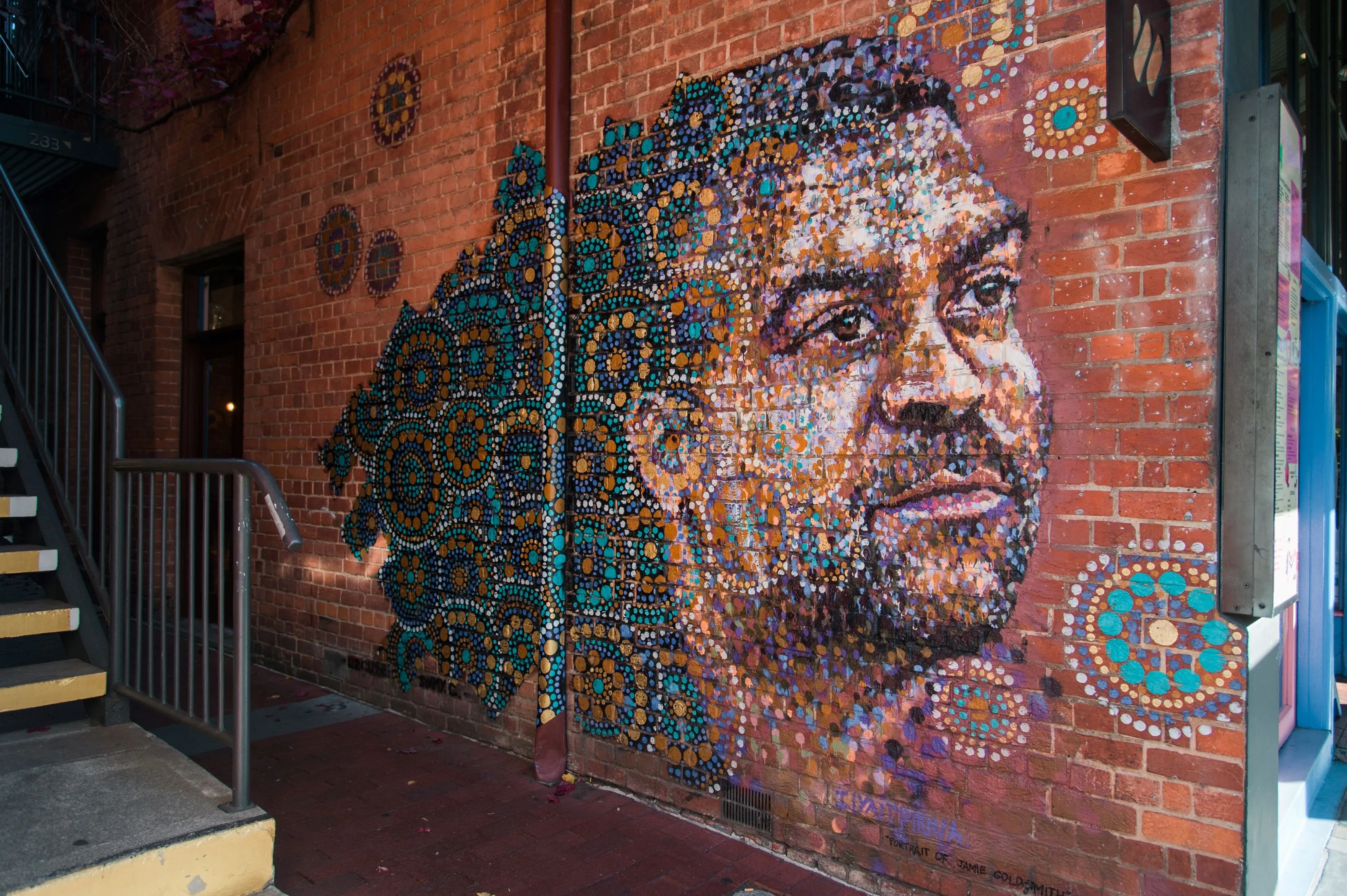 Jimmy C & Adelaide Street Art Guided Walking Tour | Experience Oz-6