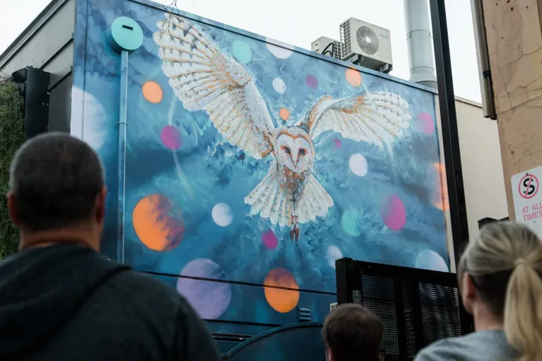 Jimmy C & Adelaide Street Art Guided Walking Tour | Experience Oz